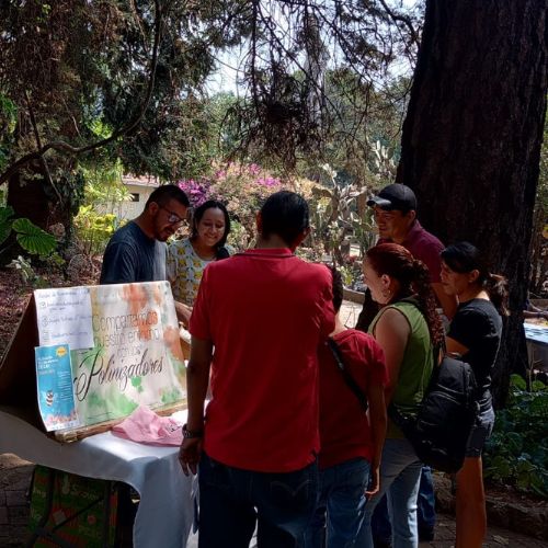 Celebran la Expoabeja 2024 en la Ciudad