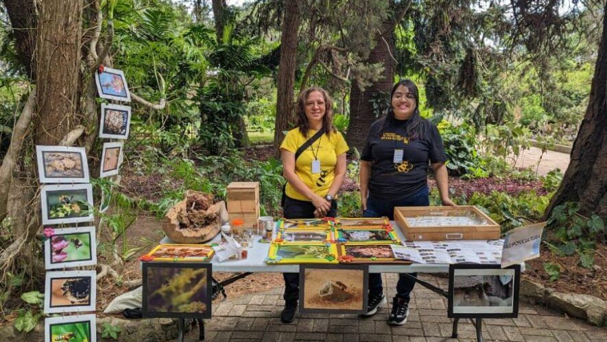 Celebra la Expoabeja 2024 en la Ciudad de Guatemala