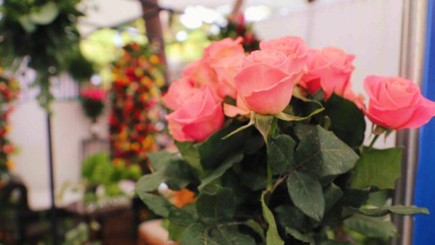 Flores cultivadas en Guatemala Día de la Madre