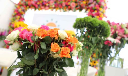 Flores cultivadas en Guatemala en el mundo por el Día de la Madre