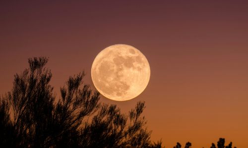 Luna Llena de las Flores de mayo Guatemala 2024