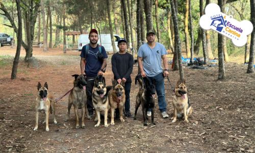 Perros guatemaltecos actúan en The Breed II en Guatemala