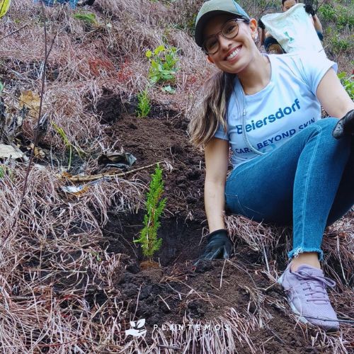 Prepararte para asistir a una jornada de reforestación en Guatemala