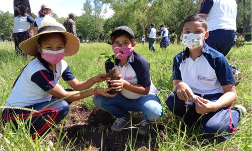 Programa de reforestación para plantar 400 mil árboles en Guatemala