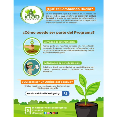 Reforestación 400 mil árboles en Guatemala