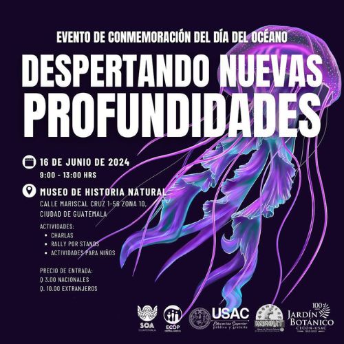 Celebra el Día de los Océanos 2024