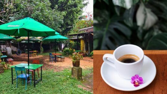Restaurantes en la zona 10 rodeados de naturaleza