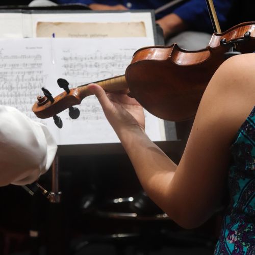 Se presenta el sexto concierto de la Orquesta Sinfónica Nacional