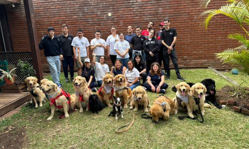 Sinergia Dorada perros que hacen servicio comunitario