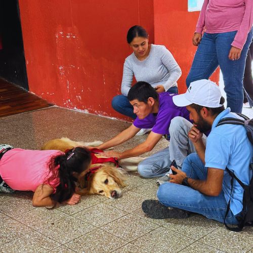 Sinergia Dorada, perros que hacen servicio comunitario