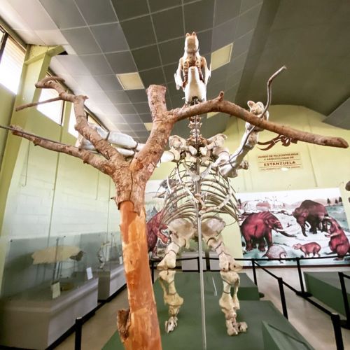 50 aniversario del museo Estanzuela