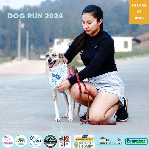 Carrera Dog Run 2024