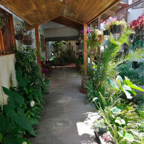 Casa Divina en Antigua Guatemala, el Airbnb que no puedes perderte