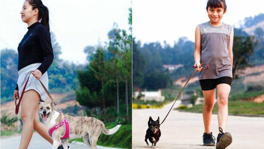 &laquo;Dog Run 2024&raquo; corre, trota o camina junto a tu mascota en San Crist&oacute;bal Verapaz