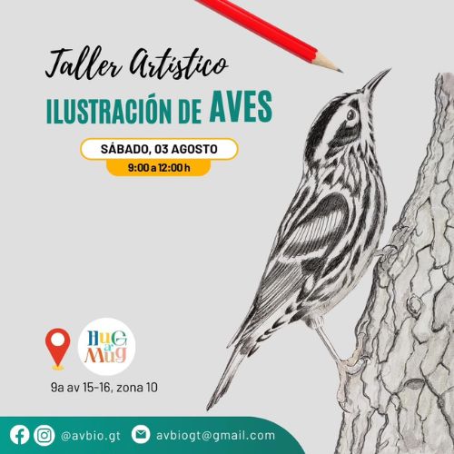 El Taller artístico 2024 en Guatemala