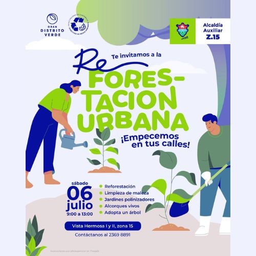 En la Ciudad Reforestación Urbana 2024