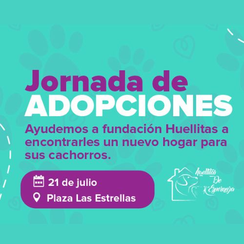 Jornada de adopciones por el Día Mundial del Perro 2024