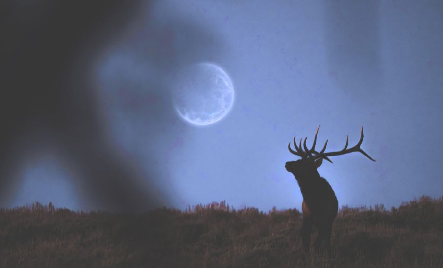 Luna llena del Ciervo de julio 2024: ¿Cuándo se podrá observar en Guatemala?