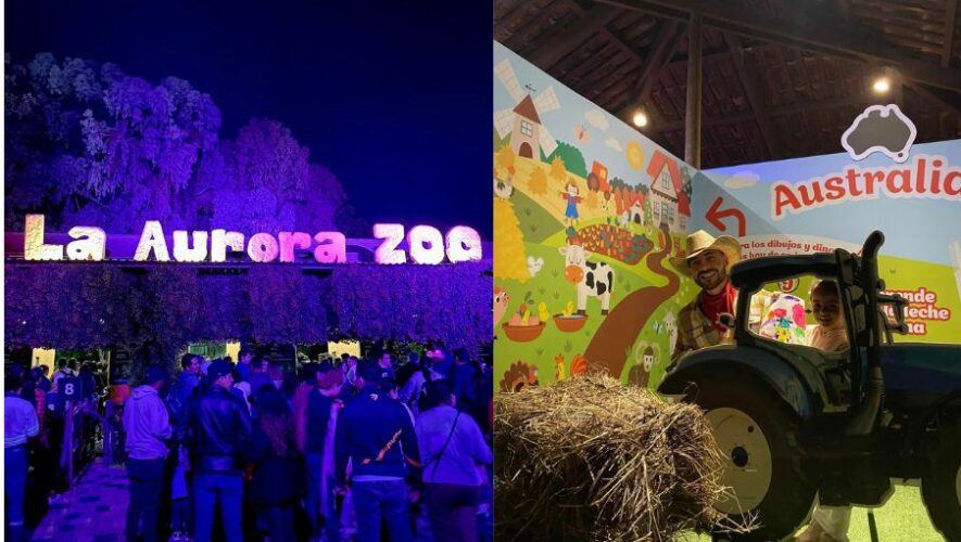 Noches de Luna 2024 en el Zool&oacute;gico La Aurora
