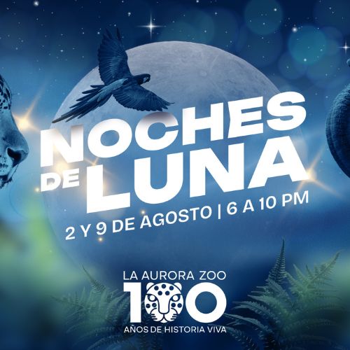 Noches de Luna 2024 en el Zoológico