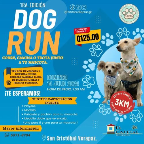 Primera edición Dog Run 2024