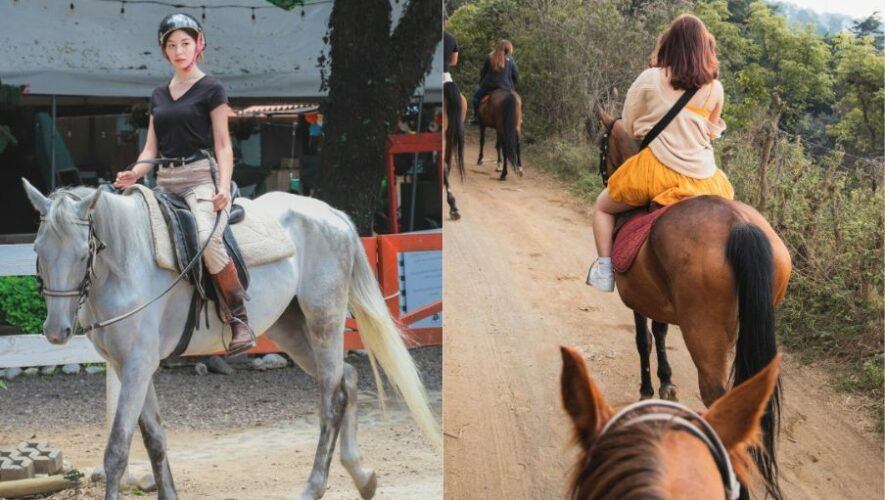 Taller Equino 2024 para los guatemaltecos en las instalaciones de Entre Robles