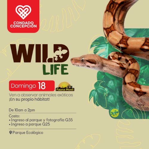 2024 Exhibición de animales exóticos en Guatemala