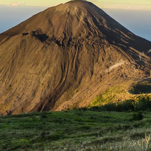 El Tour de un día por el Volcán Pacaya en Guatemala