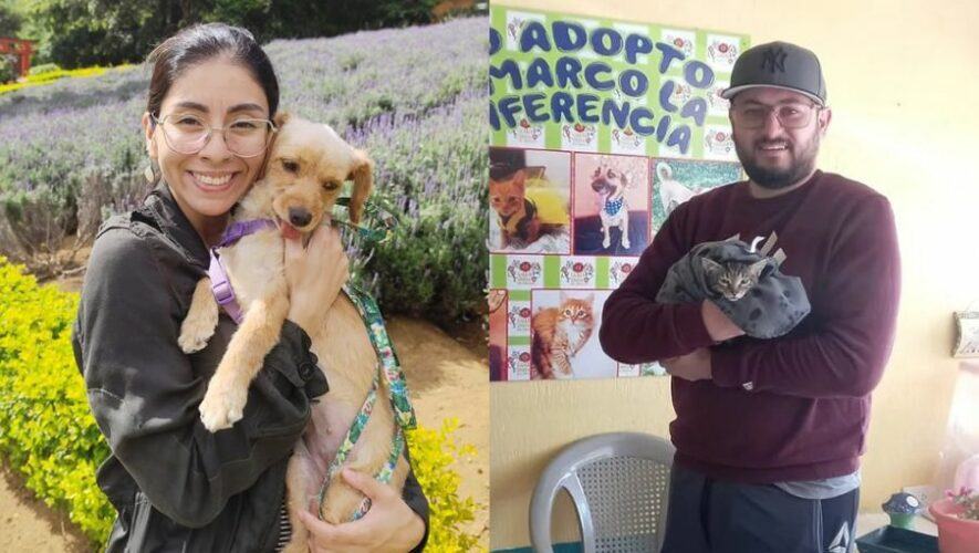 Feria de adopci&oacute;n de perros y gatos en Guatemala en Sankris Mall