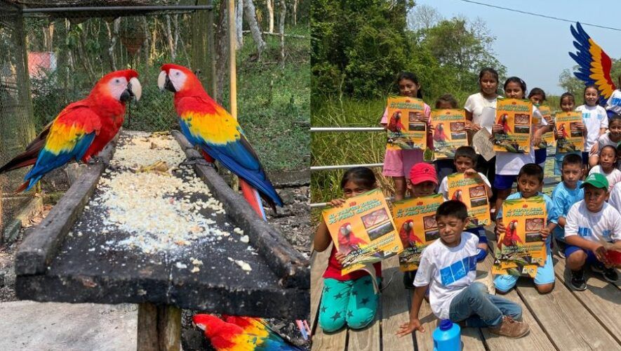 Festival de las Guacamayas en Pet&eacute;n este 2024