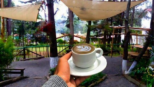 Increíbles cafeterías rodeadas de naturaleza en Guatemala