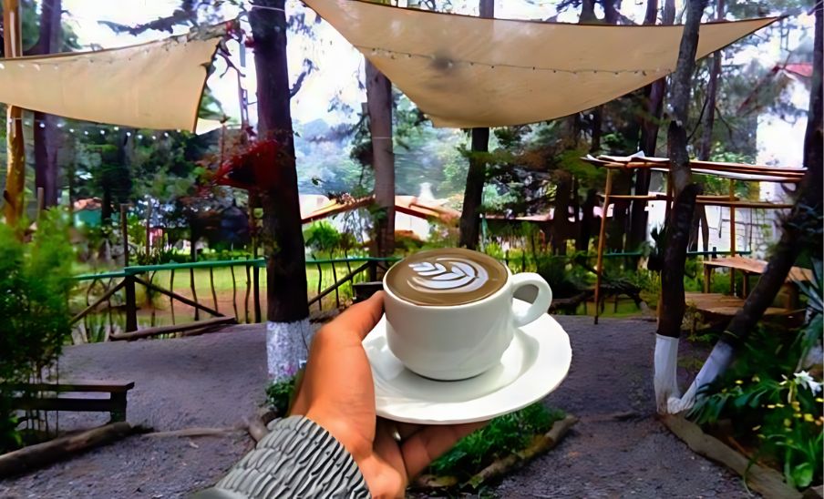 Increíbles cafeterías rodeadas de naturaleza en Guatemala