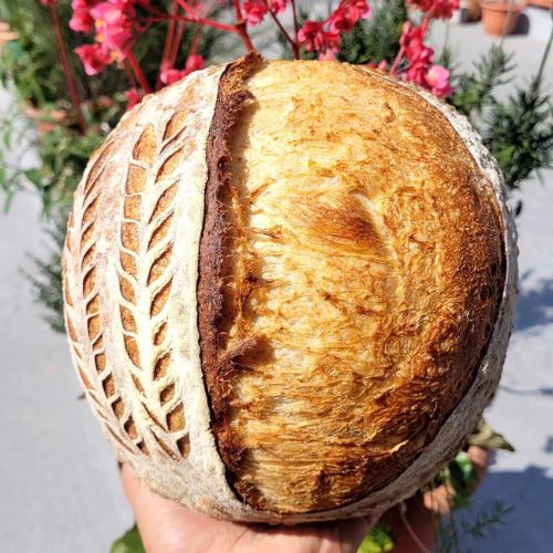 La Croissanteria, panadería artesanal en Guatemala
