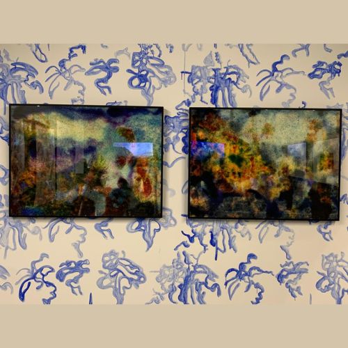 La Exposición «Del Arte, la Naturaleza y las Mujeres» en Guatemala
