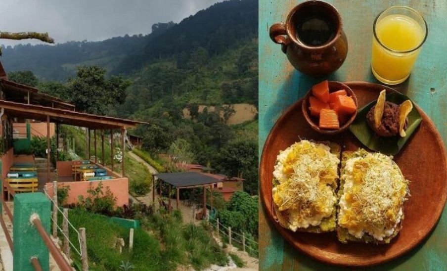 Restaurante de Finca Paseo de las Nubes con vistas panorámicas y tour de aguacate