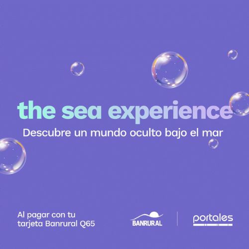 The Sea Experience en Guatemala 2024