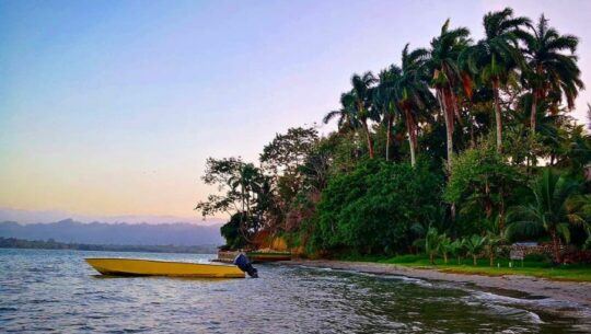 playa capitania livingston