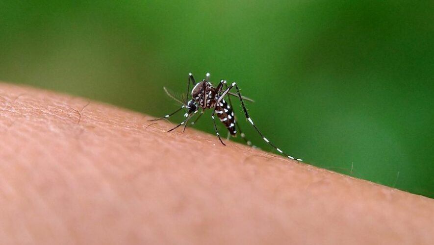 Actualización de Alerta roja por dengue en Guatemala
