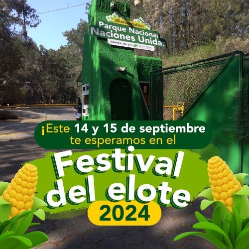 El Festival del Elote 2024 en Guatemala