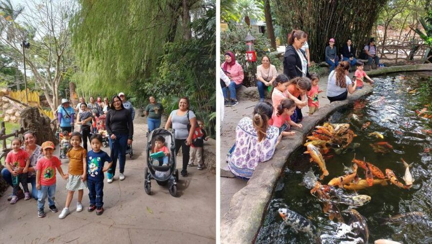 Celebraci&oacute;n de 100 a&ntilde;os del Zool&oacute;gico La Aurora con actividades familiares
