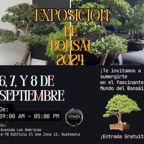 Exposición de Bonsái 2024