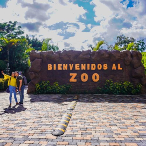 zoológico abierto 15 de septiembre 2024