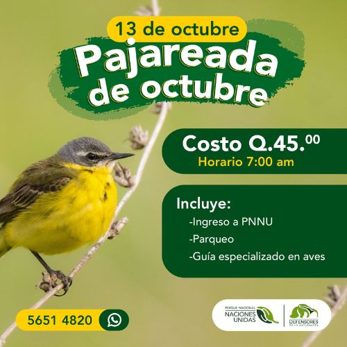 2024 Observación de aves en el Parque Naciones Unidas