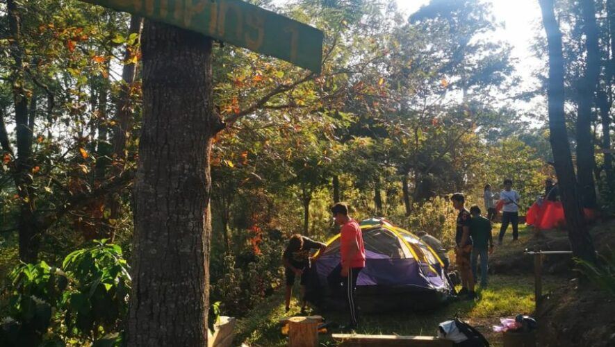 Campamento para ni&ntilde;os en De lo Alto Farms 2024