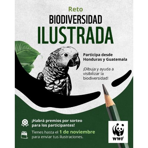 Concurso Reto Biodiversidad ilustrada de WWF Guatemala