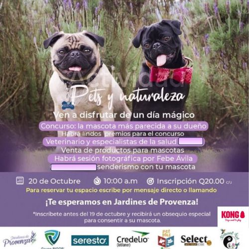 Día de Mascotas 2024 en Jardines de Provenza en Guatemala