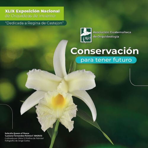 Exposición Nacional de Orquídeas de Invierno 2024