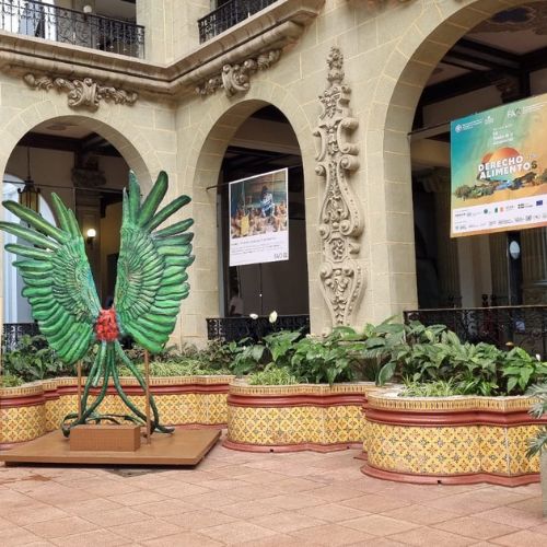 Exposición fotográfica 2024 «Derecho a los alimentos» en Guatemala.