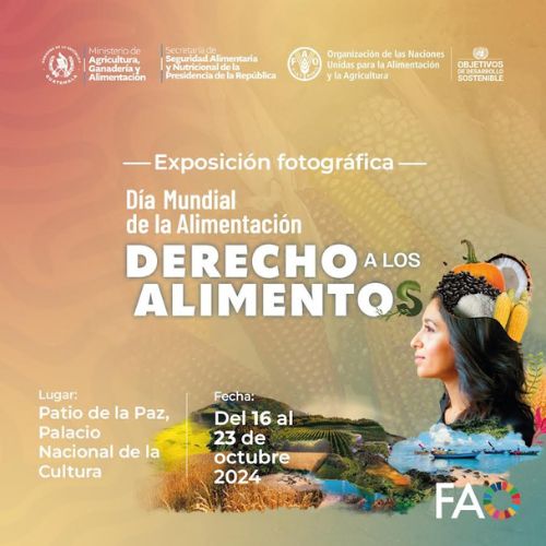 Exposición fotográfica 2024 «Derecho a los alimentos»