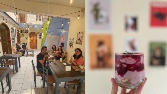 Katze Cat & Coffee House, un espacio único para amantes del café y los gatos en Quetzaltenango